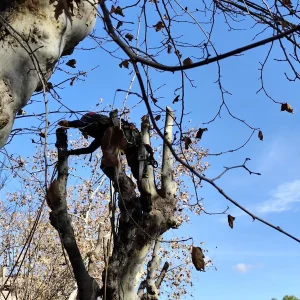 WhatsApp_Image_2025-01-27_at_16.45.28_1