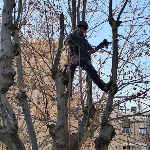 WhatsApp_Image_2025-01-27_at_16.45.30_1