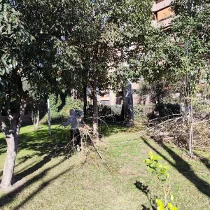 WhatsApp_Image_2025-01-27_at_16.45.33_1